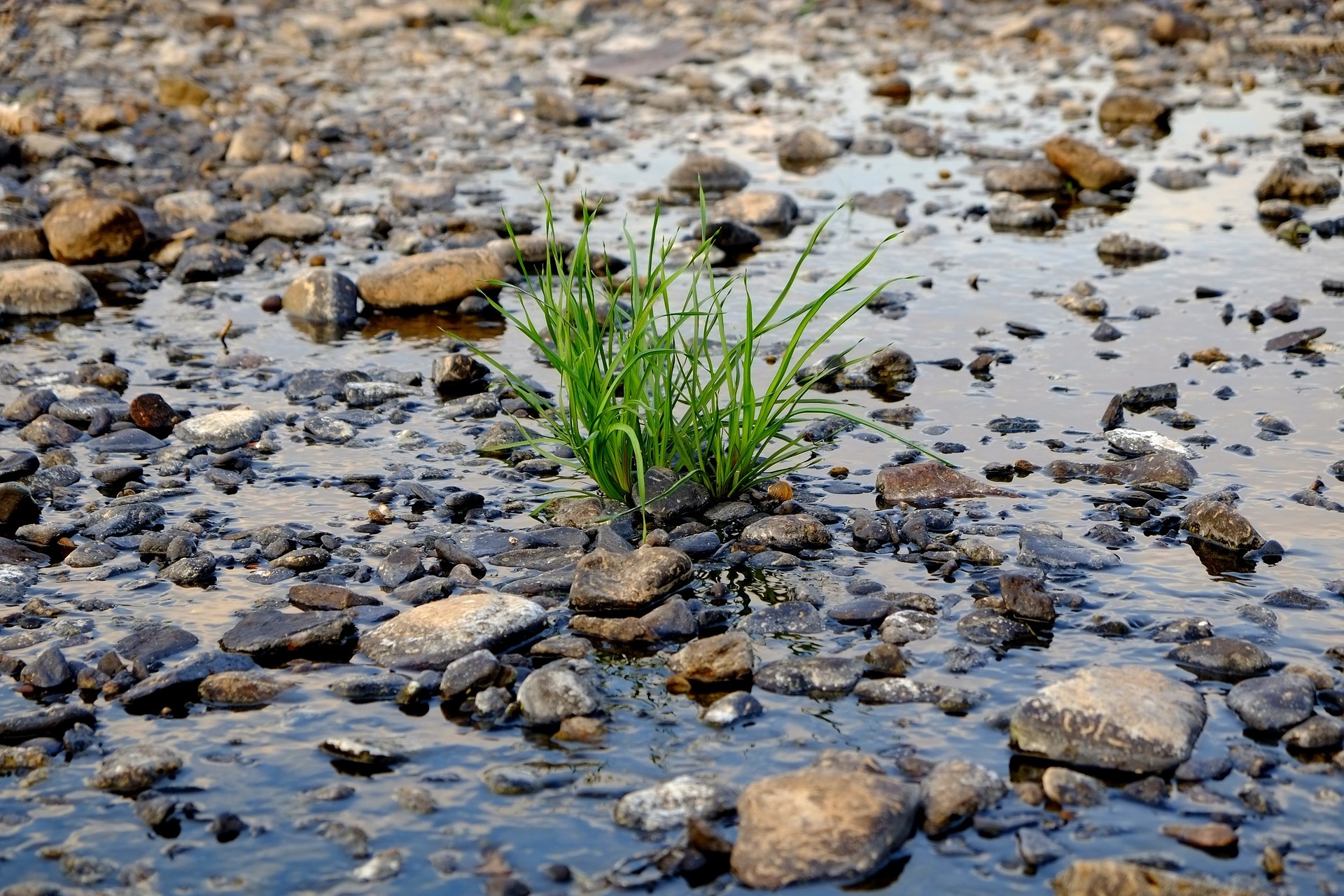 Wasser und Boden